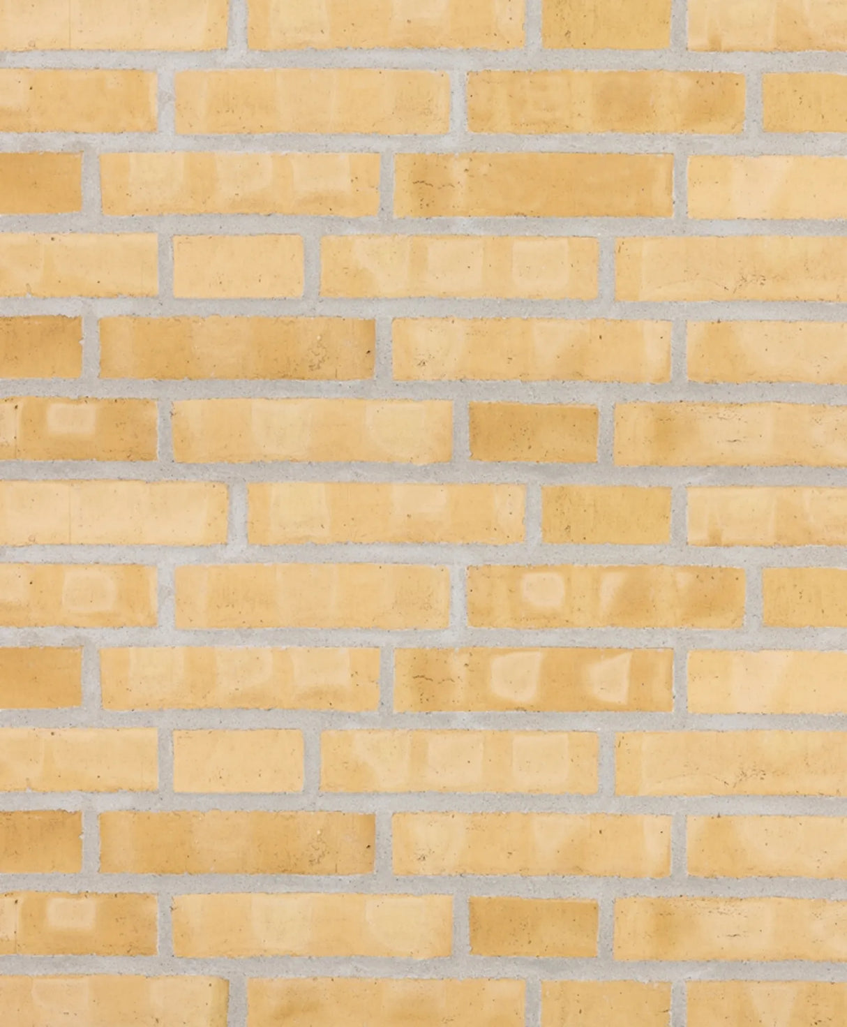 007474234_1