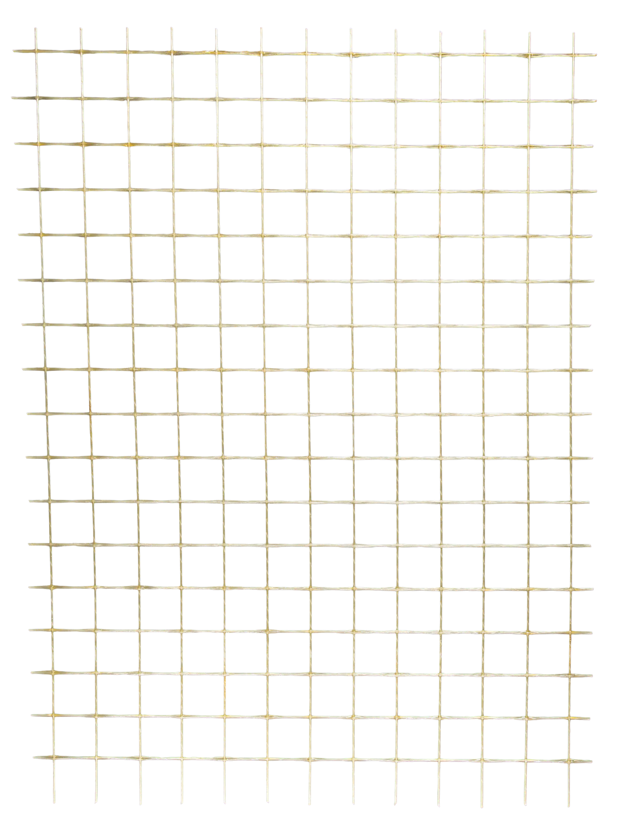 008939181_main_0