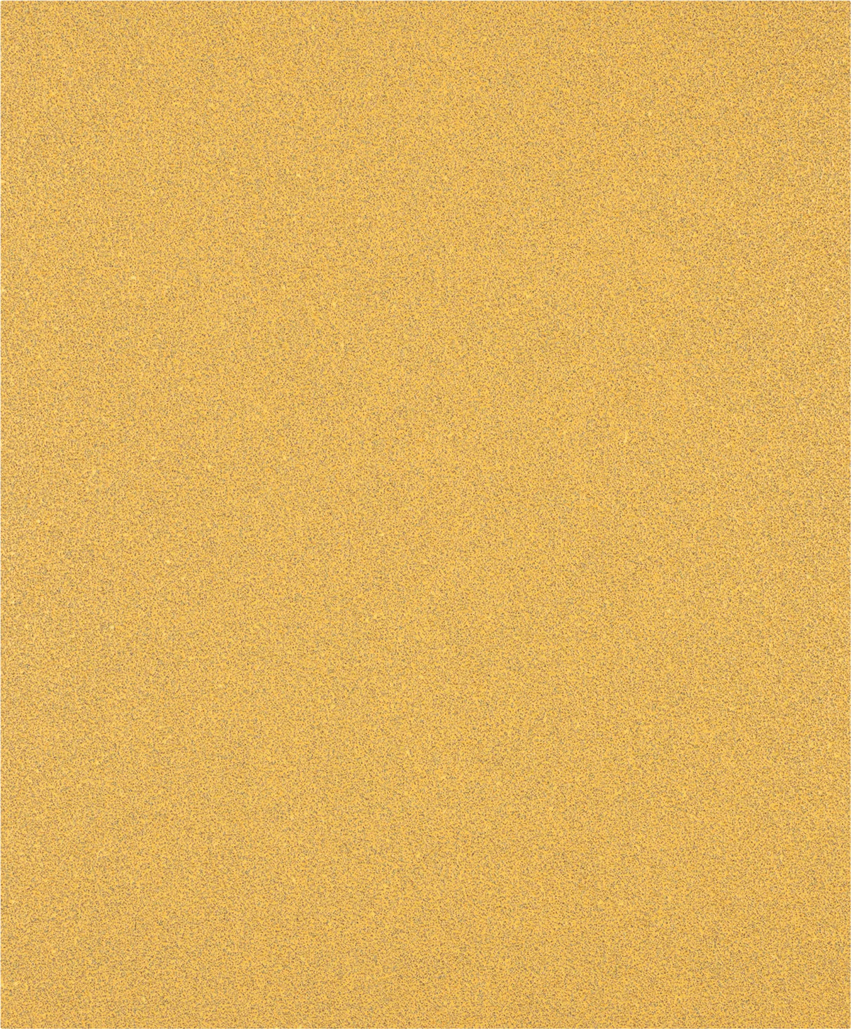 008040584_main_0