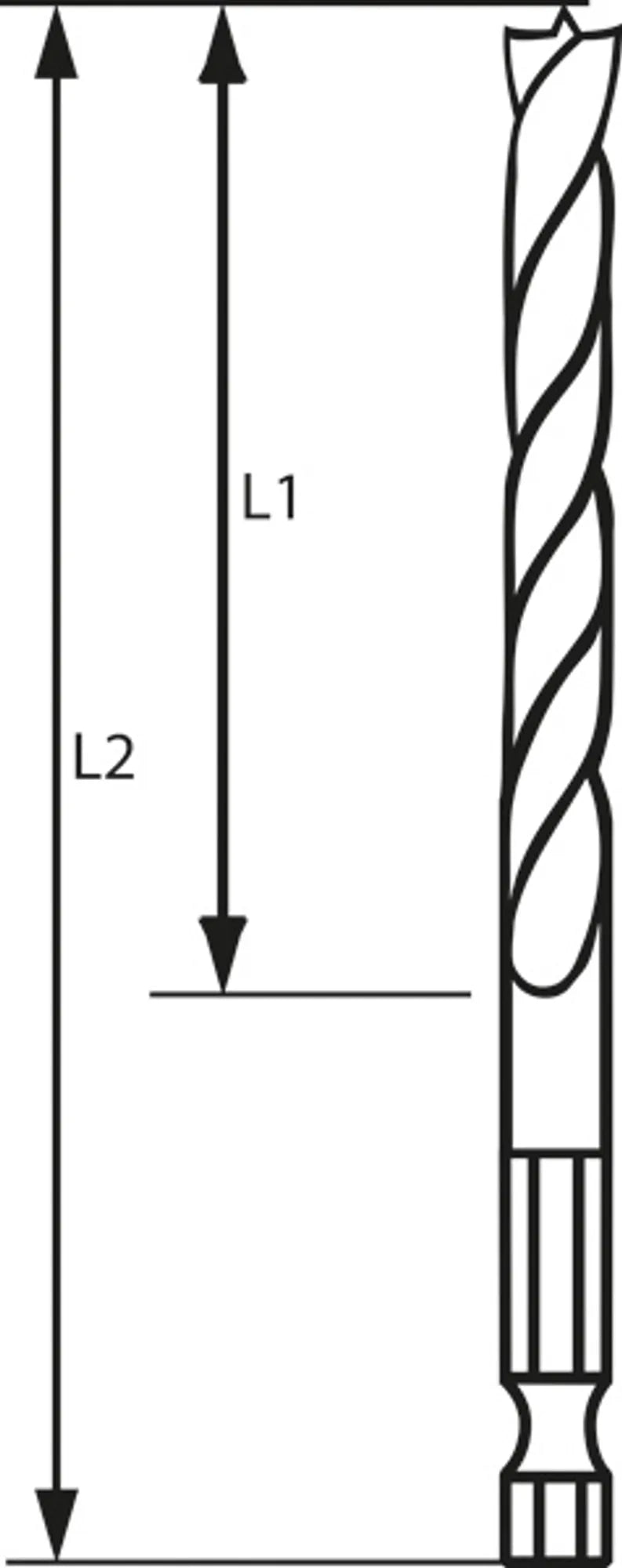 003928407_0