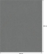 006310351_main_0