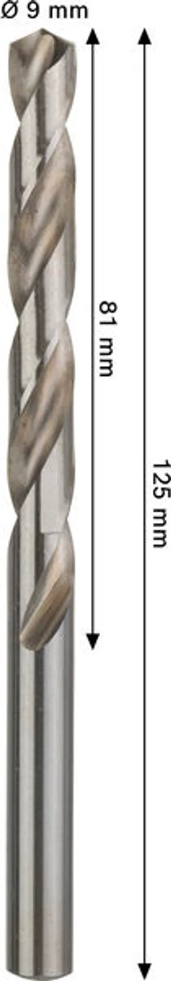 009130297_0