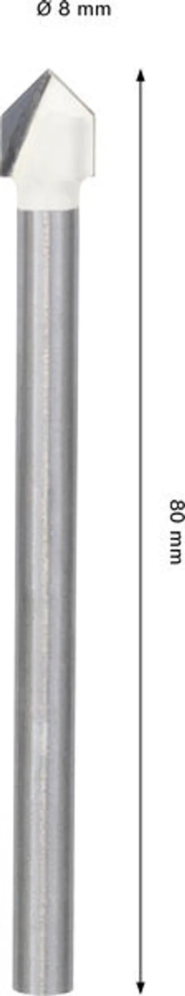 009141668_0