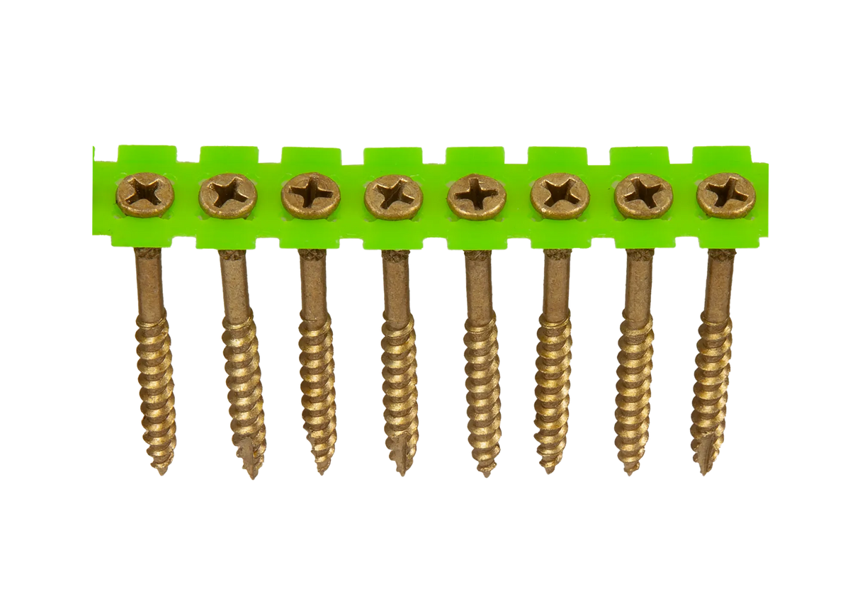 008805281_main_0