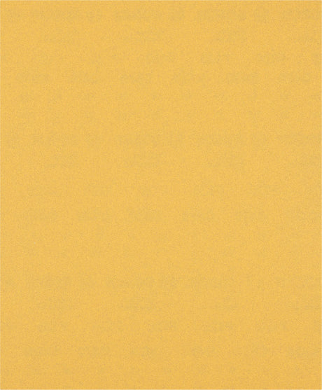 008040587_main_0