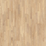 008300159_main_0
