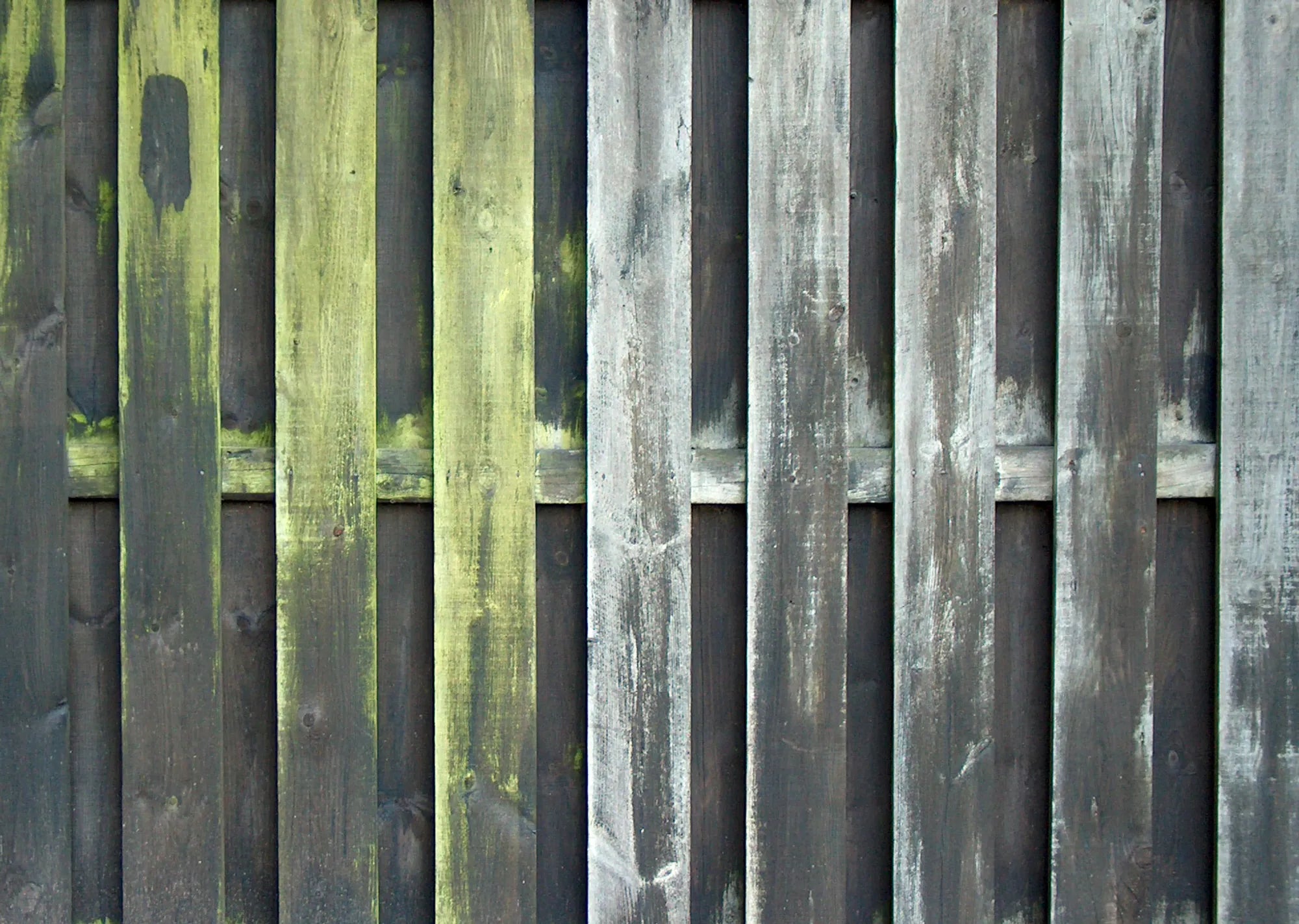 003573906_10