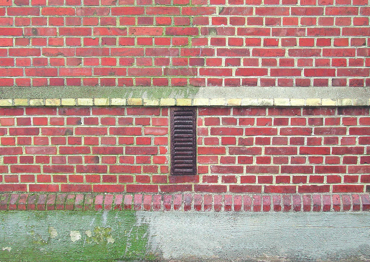 003573905_6