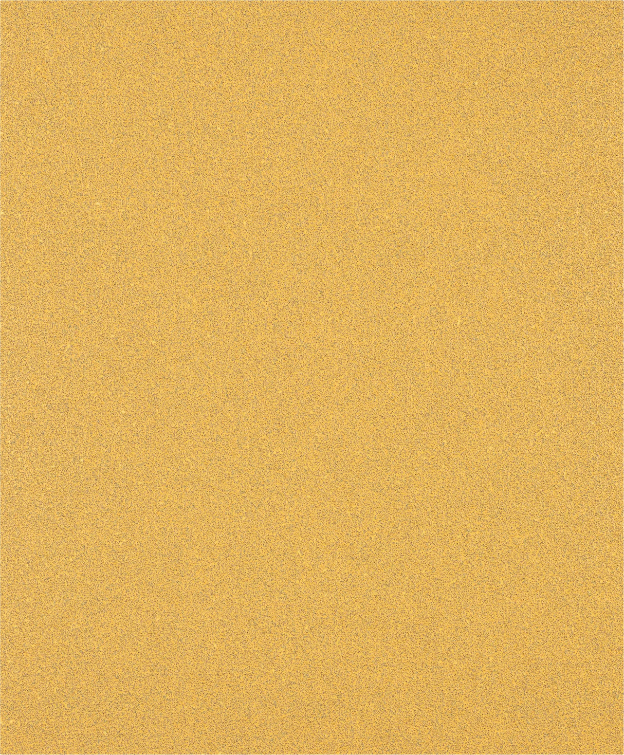 008040584_main_0