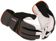 006097653_main_0