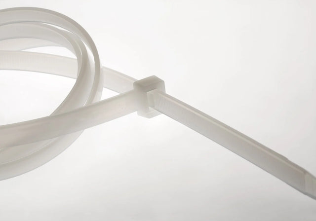 006669781_main_0