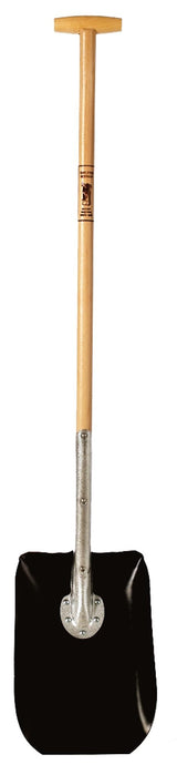 005885226_main_0