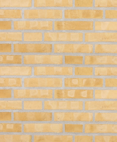 007474234_1