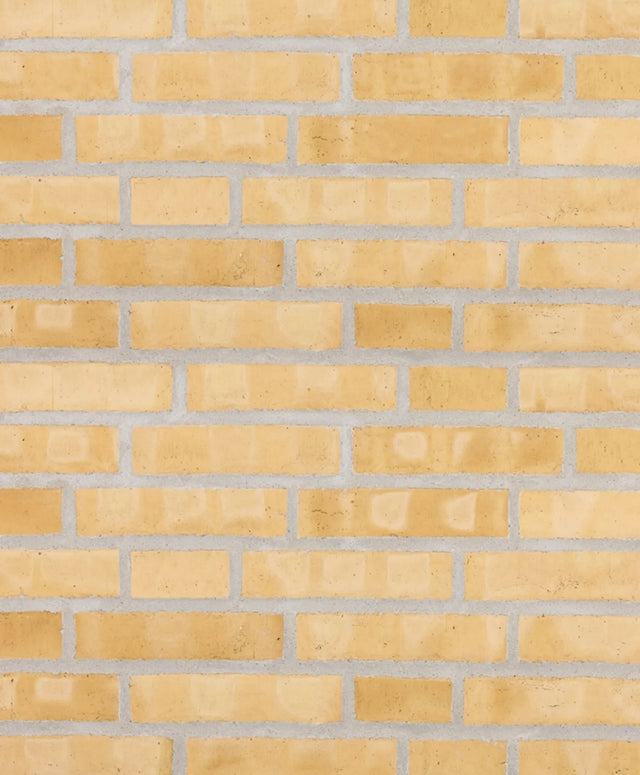 007474234_1