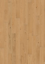 003835073_main_0