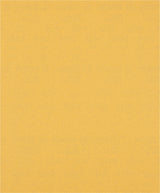 008040587_main_0