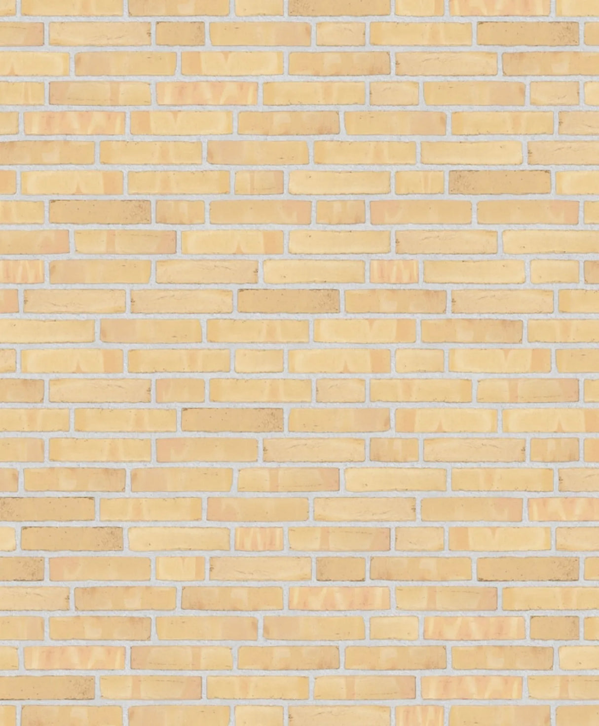 004447080_main_0