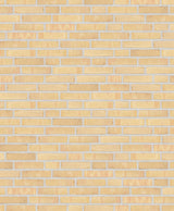 004447080_main_0