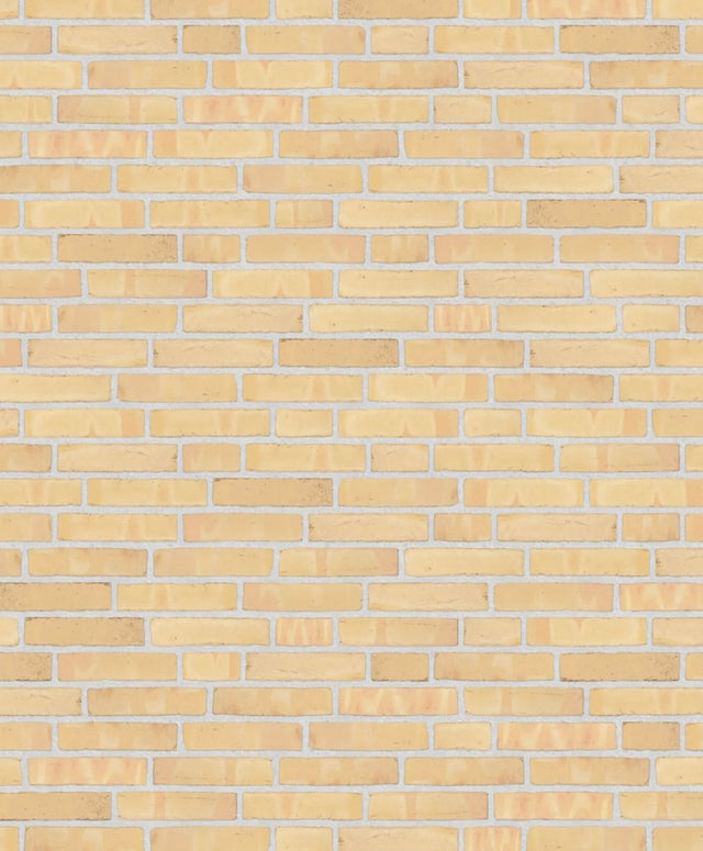 004447080_main_0